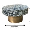 Bone Inlay Coffee Table