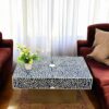 Mother of Pearl Inlay Coffee Table