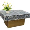 Mother of Pearl Inlay Coffee Table