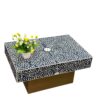 Mother of Pearl Inlay Coffee Table