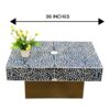 Mother of Pearl Inlay Coffee Table