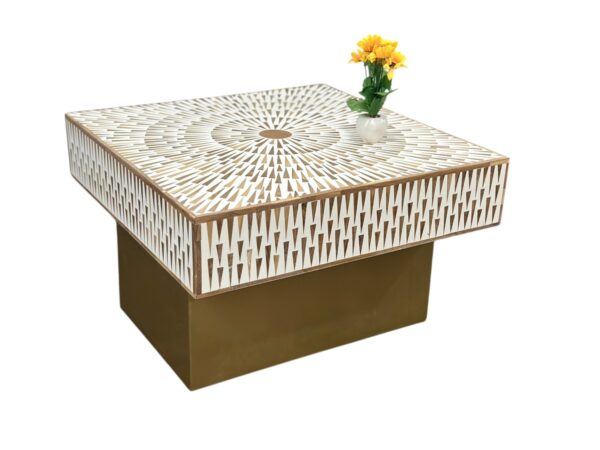Decsoul 10a Teak Inlay Coffee Table