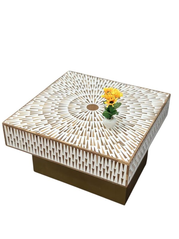 Decsoul 10c Teak Inlay Coffee Table